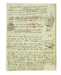 Codex on the Flight of Birds, Folio 10 Verso